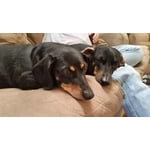 Image 6 of customer photos