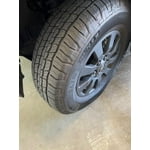 Image 3 of customer photos