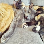 Image 2 of customer photos