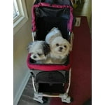 Image 2 of customer photos