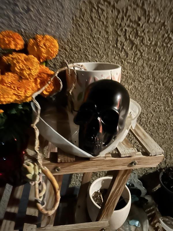 Black Skull Candle - Unscented 4.5 - Halloween Decoration