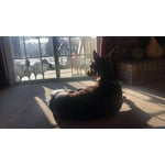 Image 4 of customer photos