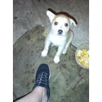 Image 7 of customer photos