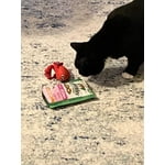 Image 2 of customer photos