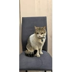 Imagen 9 de las fotos del cliente