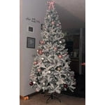 Image 7 of customer photos