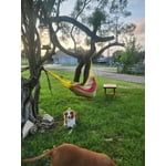 Image 5 of customer photos