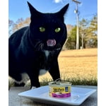 Image 5 of customer photos