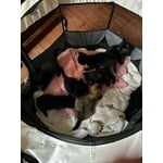 Image 1 of customer photos