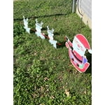 Image 5 of customer photos