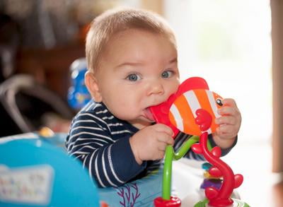 baby einstein rhythm of the reef activity saucer recall