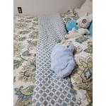 Image 7 of customer photos