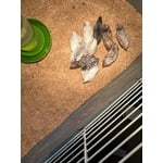 Image 1 of customer photos