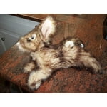 Image 5 of customer photos