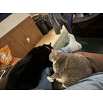 Image 2 of customer photos