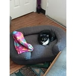 Image 2 of customer photos