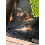 Image 1 of customer photos