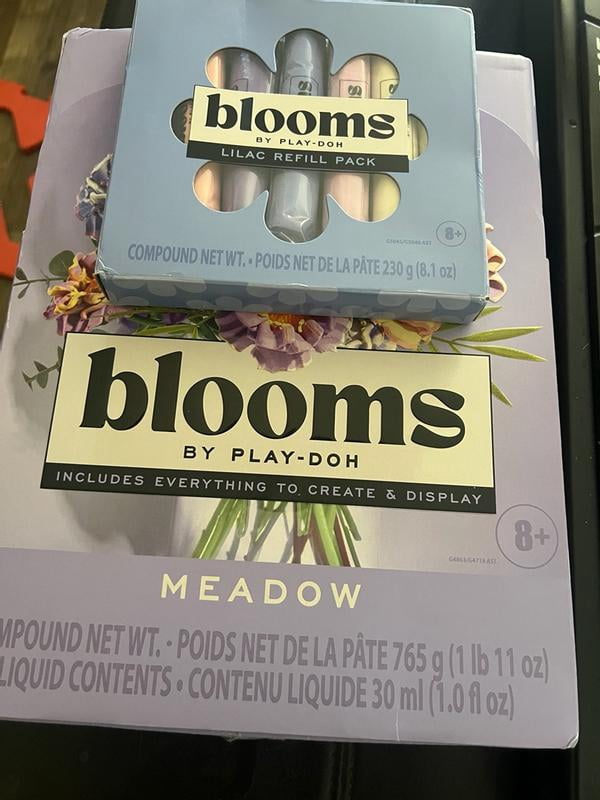 Blooms by Play-Doh Meadow Flower Bouquet Arts & Crafts Kit for