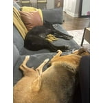 Image 1 of customer photos