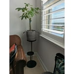 Image 7 of customer photos