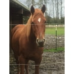 Image 5 of customer photos