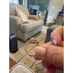 Image 1 of customer photos