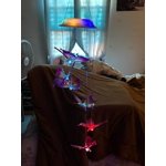 Image 4 of customer photos