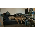 Image 6 of customer photos