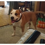 Image 1 of customer photos