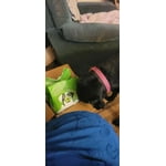 Image 6 of customer photos