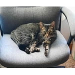 Image 6 of customer photos