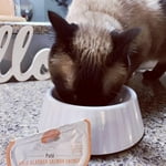 Image 7 of customer photos