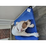 Image 3 of customer photos