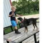 Image 1 of customer photos