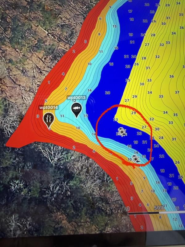 Customer reviews for Humminbird LakeMaster VX Premium - Great