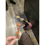 Image 5 of customer photos