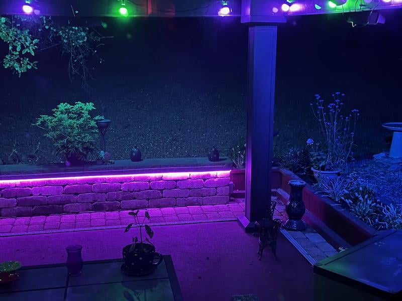 Govee 48ft. RGBW Outdoor String Lights - Samsclub.com