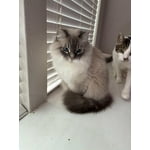 Image 6 of customer photos