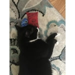 Image 2 of customer photos