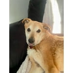 Image 7 of customer photos