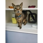 Image 6 of customer photos