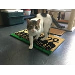 Image 5 of customer photos