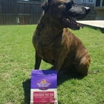 Image 4 of customer photos