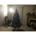 Image 7 of customer photos