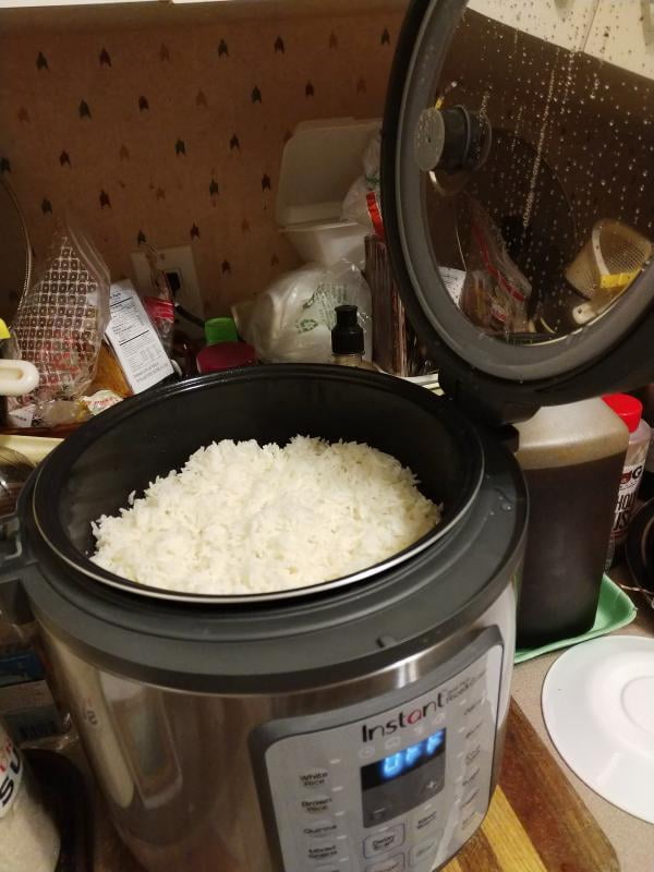 zest instant rice cooker