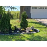 Image 1 of customer photos