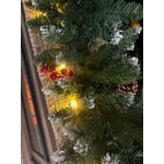 Image 6 of customer photos