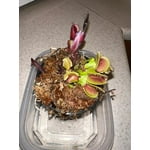 Image 6 of customer photos
