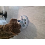 Image 6 of customer photos