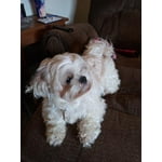 Image 1 of customer photos